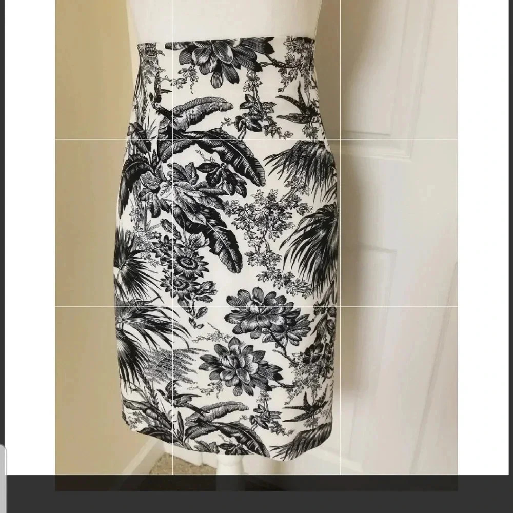 Catherine Malandrino Skirt sz 8